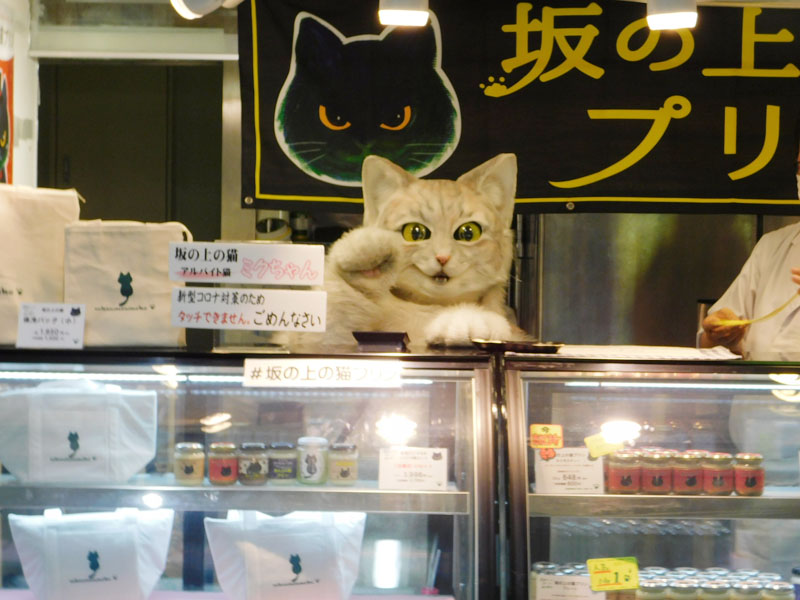 大阪プリン売りの猫