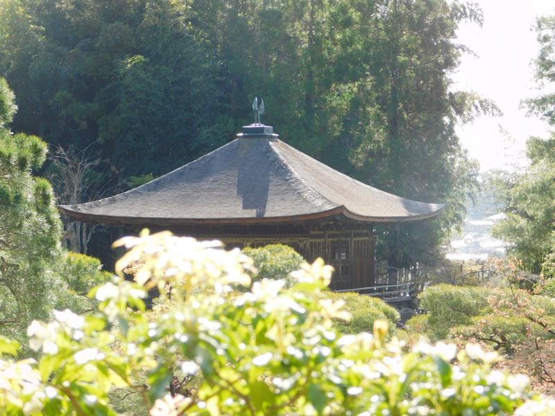 きれいな庭の銀閣寺